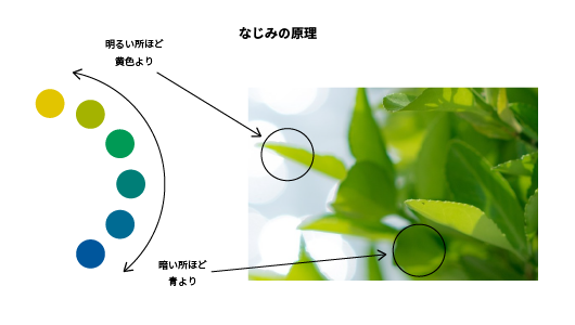 配色はセンスじゃなく理論でなんとかなる 基本編 Nhn テコラス Tech Blog Aws 機械学習 Iotなどの技術ブログ